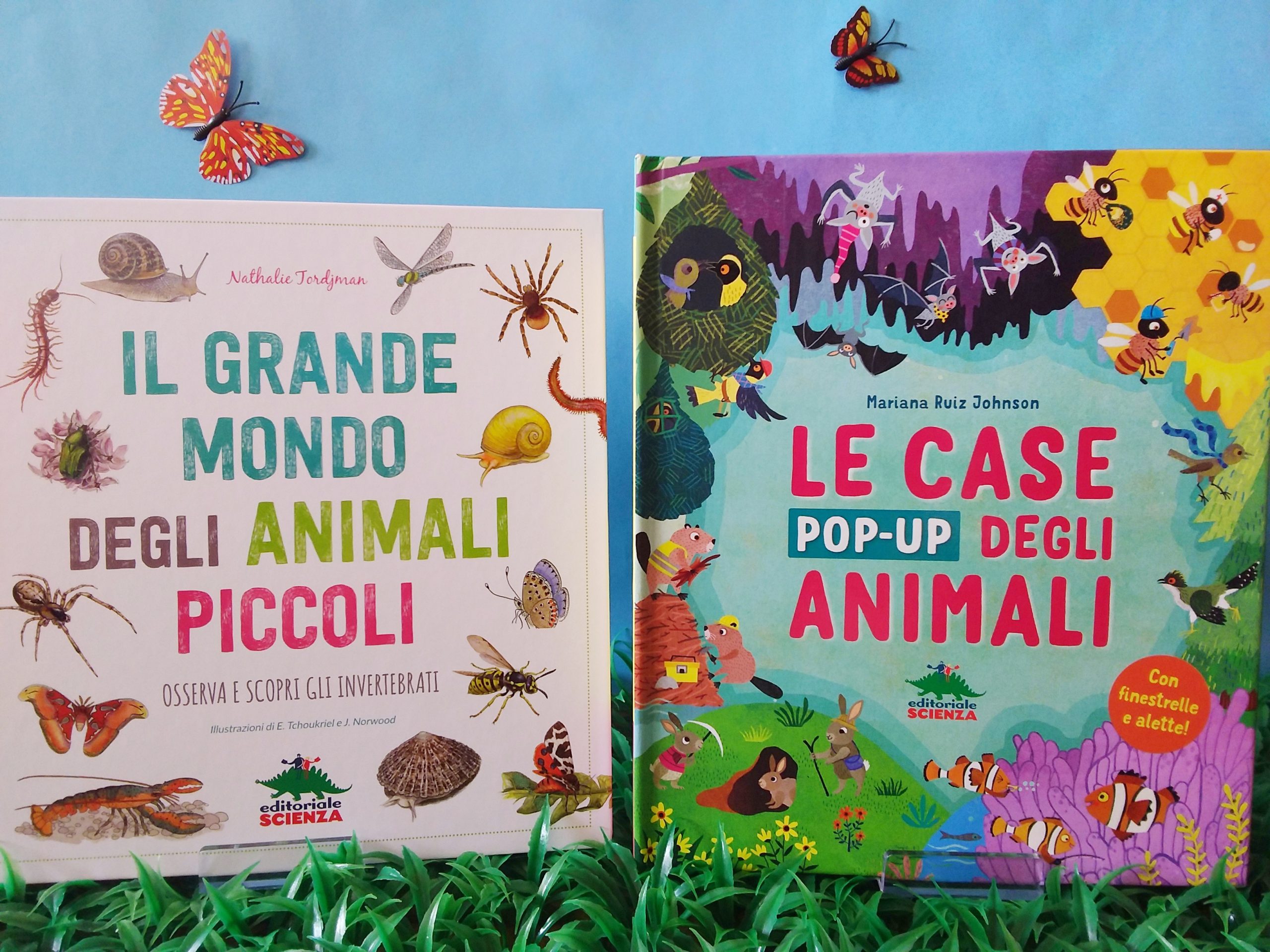 Case animali pop-up evidenza
