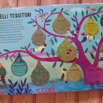 Case pop-up nidi
