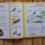 Terrario per chiocciole